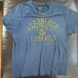 Abercrombie & Fitch Blue Graphic T-Shirt
